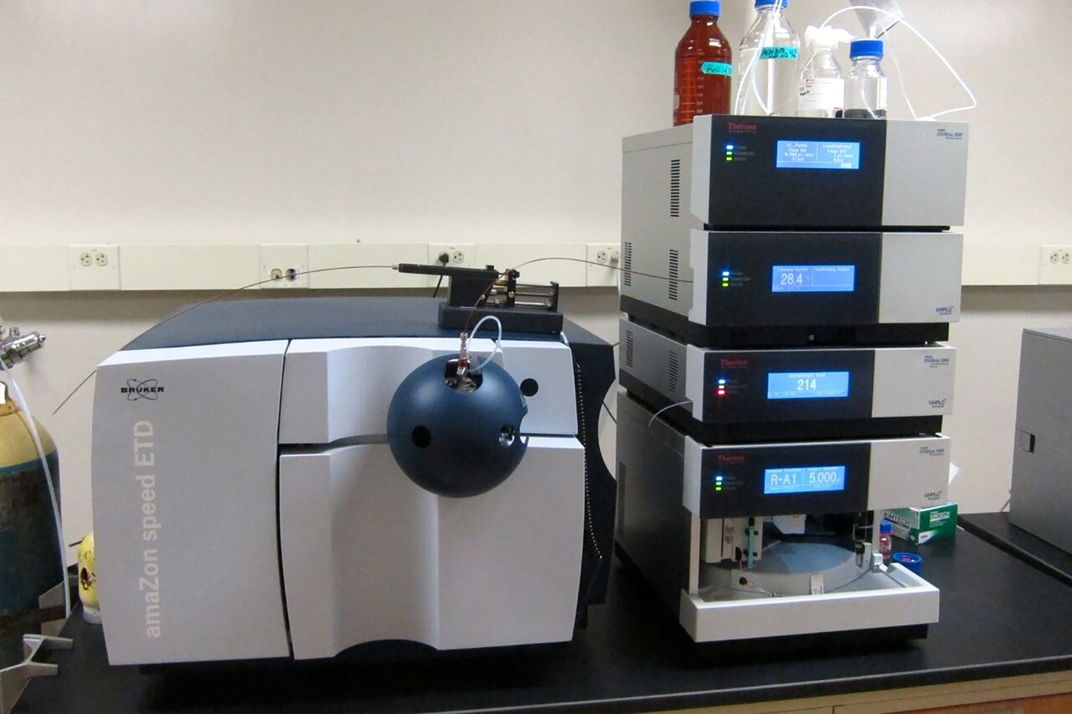 Reading a Peptide Certificate of Analysis: Identity, Purity and Net Content